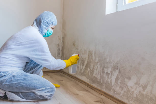 Mold Documentation for Insurance Claims in Fort Dix, NJ